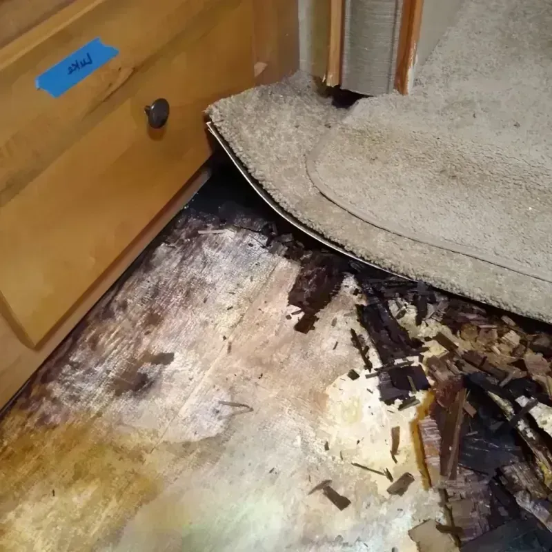 Best Wood Floor Water Damage Service in Northwest Harbor, NY